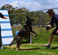 Lawdogs Australia - Tourism Brisbane