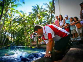 Daydream Island QLD Brisbane Tourism