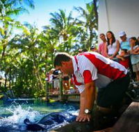 The Living Reef on Daydream Island - Tourism Brisbane