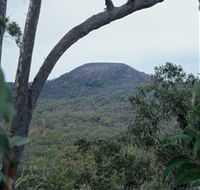 Mount Fox - Tourism Brisbane