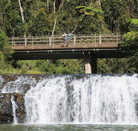 Malanda Falls Conservation Park - Tourism Brisbane