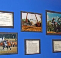 Town Hall Photographic Display - Brisbane 4u