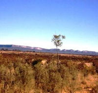 Tambos Wilderness Way - Tourism Brisbane