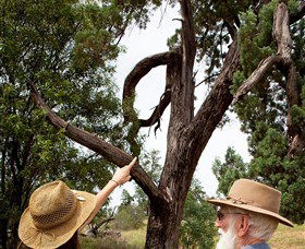 Charleville - Outback Native Timber Walk - Tourism Brisbane 0