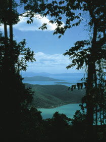 Whitsunday Great Walk - Tourism Brisbane 0