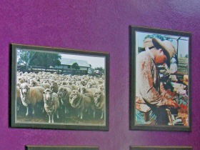 Charleville Photographic Display - Tourism Brisbane 0
