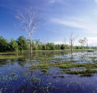Tyto Wetlands - Tourism Brisbane