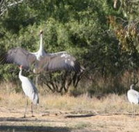 Bulloo River Walk - Tourism Brisbane