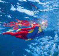 Outer Rocks Dive Site - Brisbane Tourism
