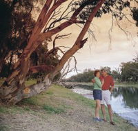 The Looking Glass - Tourism Brisbane