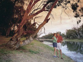 The Looking Glass - Tourism Brisbane 0