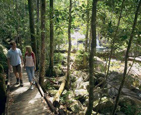 Eungella QLD Brisbane Tourism