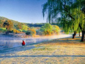 Quart Pot Creek - Tourism Brisbane 0