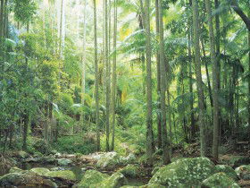 Python Rock - Tourism Brisbane 0