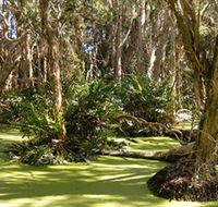Arkarra Lagoons and Tea Gardens - Brisbane 4u