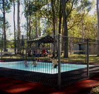 Teddington Weir and Picnic Reserve - Brisbane Tourism