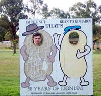 Kingaroy Lions Park - Tourism Brisbane