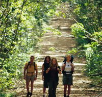Wet Tropics Great Walk - Tourism Brisbane