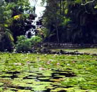Queens Park Waterfall - Brisbane Tourism