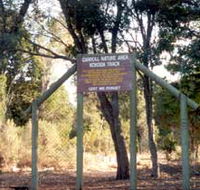 Carroll Nature Reserve Kokoda Track - Tourism Brisbane