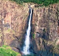 Buujan Quiinbiira Walk Wet Tropics Great Walk - Tourism Brisbane