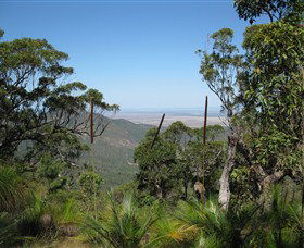 Zamia Walk - Brisbane Tourism 0