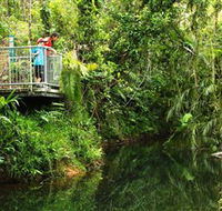 Djiru National Park - Tourism Brisbane
