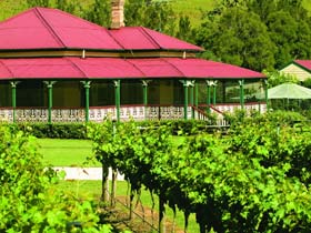 OReillys Canungra Valley Vineyards - Tourism Brisbane 0