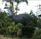 The Big Cassowary - Tourism Brisbane