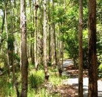 Hallorans Hill - Tourism Brisbane