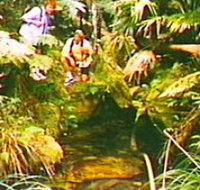 The Tombs Circuit - Tourism Brisbane