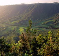 Pine Grove Circuit - Brisbane Tourism
