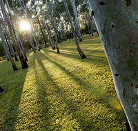 Tondoon Botanic Gardens - Tourism Brisbane