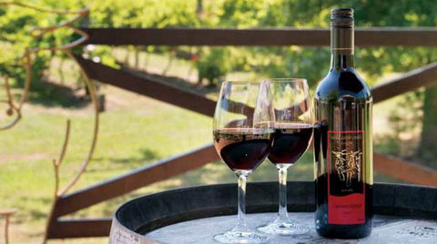 Wild Cattle Creek Estate Winery Restaurant - Tourism Brisbane 4