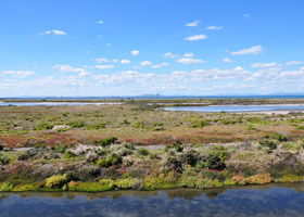Point Cook Coastal Park - Tourism Brisbane 0