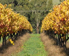 Wild Dog Winery & Restaurant - Brisbane 4u 0