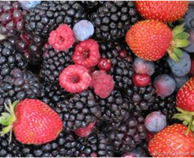 Gentle Annie Berry Gardens - Brisbane Tourism 0