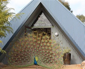 Halls Gap Zoo - Brisbane Tourism 0