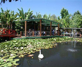 Blue Lotus Water Garden - Tourism Brisbane 0