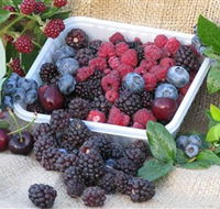 Bright Berry Farms - Brisbane 4u