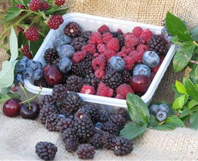 Bright Berry Farms - Tourism Brisbane 0