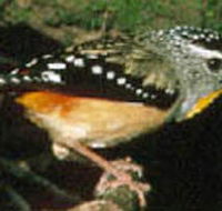 Reef Hills State Park - Tourism Brisbane