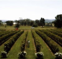 Rochford Wines - Tourism Brisbane