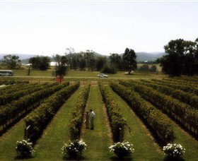 Rochford Wines - Tourism Brisbane 0