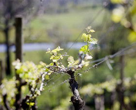 Booth's Taminick Cellars - Tourism Brisbane 0