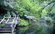 Alfred Nicholas Gardens - thumb 0
