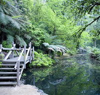 Alfred Nicholas Gardens - Tourism Brisbane
