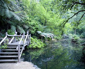 Alfred Nicholas Gardens - Tourism Brisbane 0