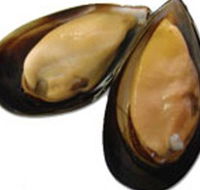 Sea Bounty - Tourism Brisbane