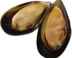 Sea Bounty - Tourism Brisbane 0